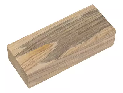 Oliva 06