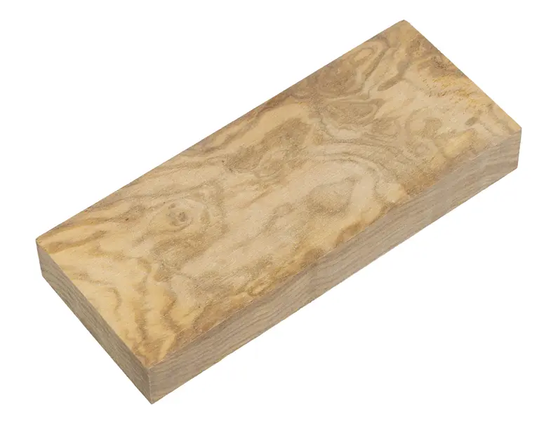 Oliva 63