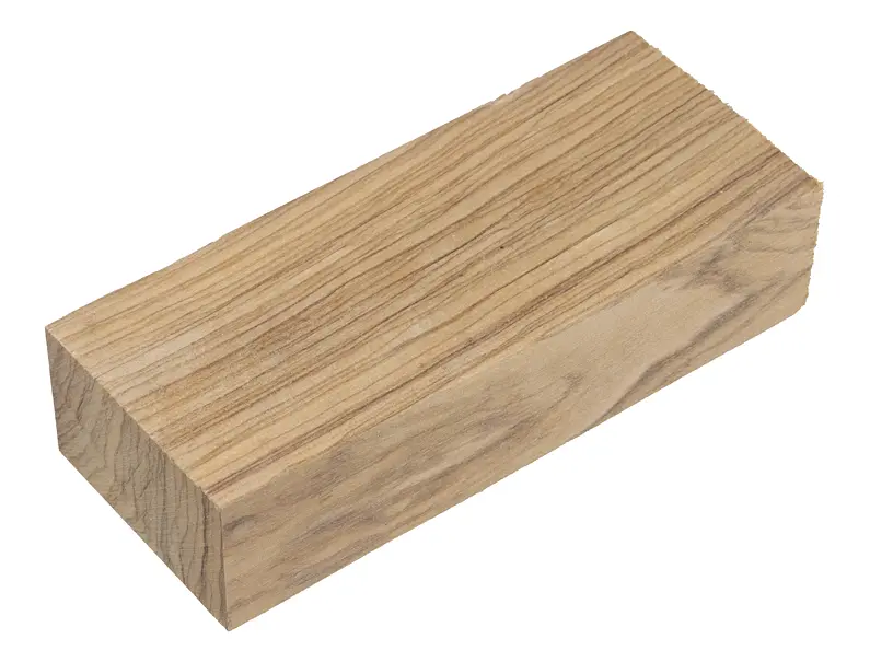 Oliva 18