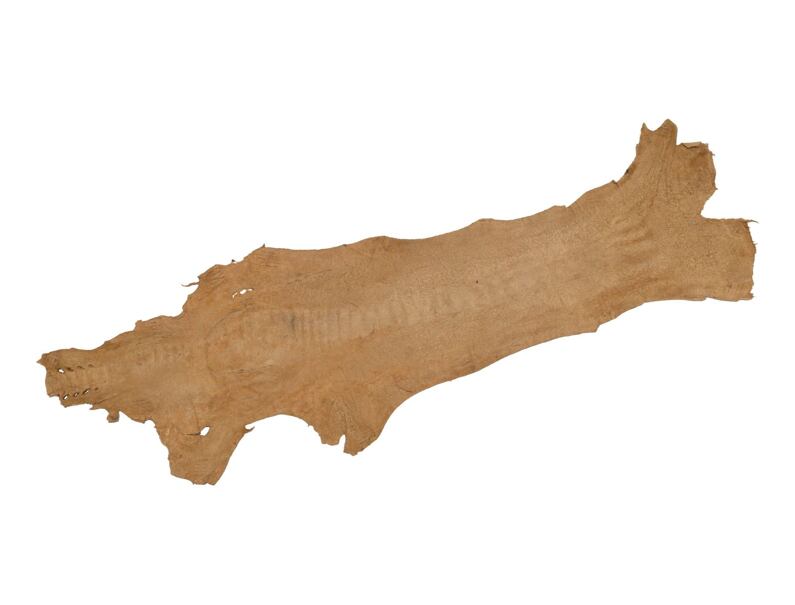 Pštrosia koža 6