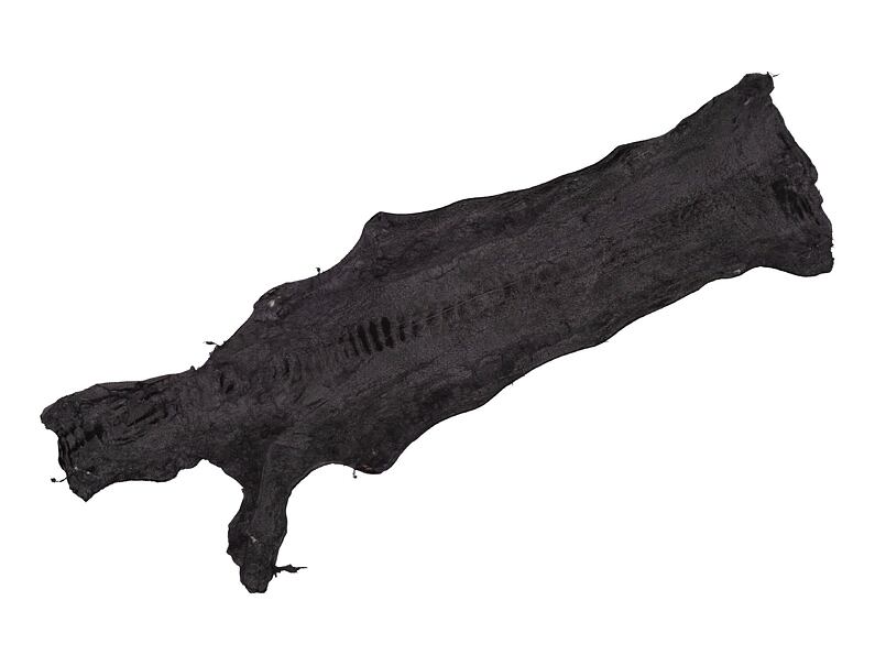 Pštrosia koža 75